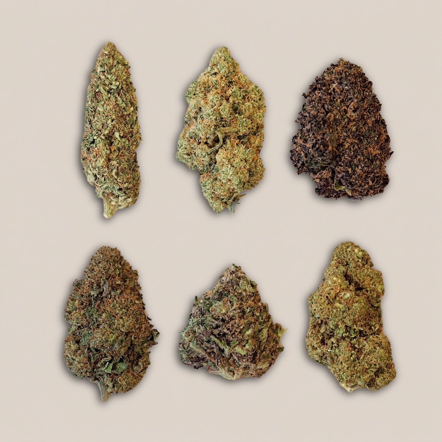 Pack découverte Fleurs CBD Premium - Salvia la pépite verte