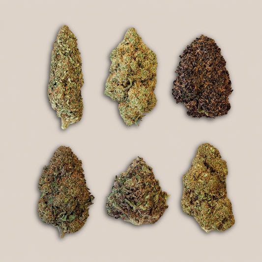 Pack découverte Fleurs CBD Premium - Salvia la pépite verte