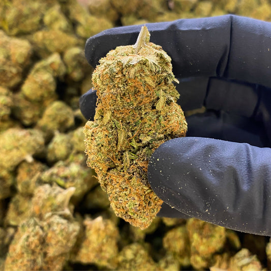 Pack découverte Fleurs CBD Premium - Salvia la pépite verte