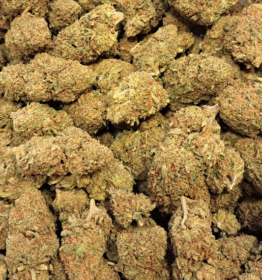 Passion OG - Premium - Salvia la pépite verte