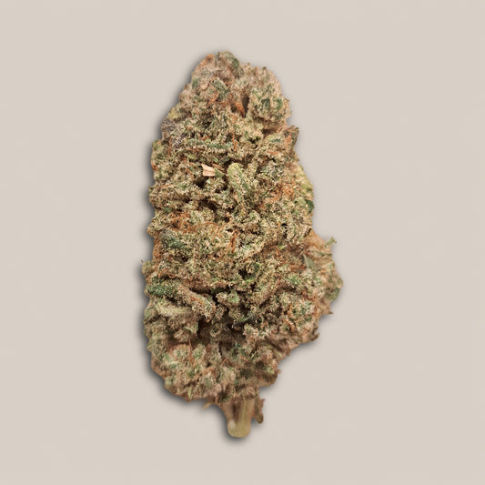 Payton Strawberry - Premium - Salvia la pépite verte