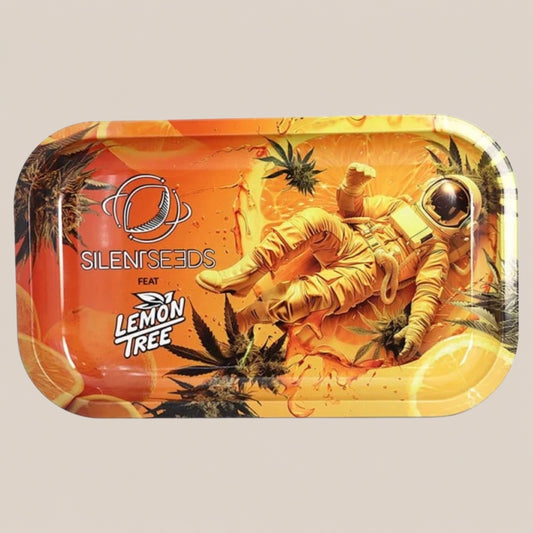 Plateau à rouler - Silent seeds x lemon tree - Salvia la pépite verte