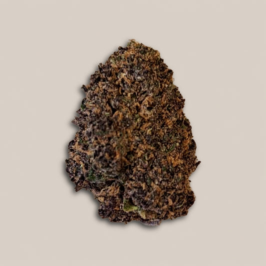 Purple Saphir - Premium - Salvia la pépite verte