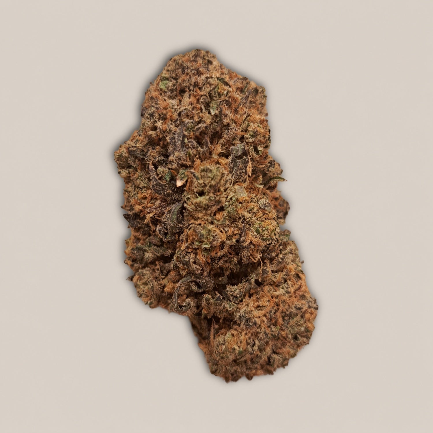 Skunk Jam - Premium - Salvia la pépite verte