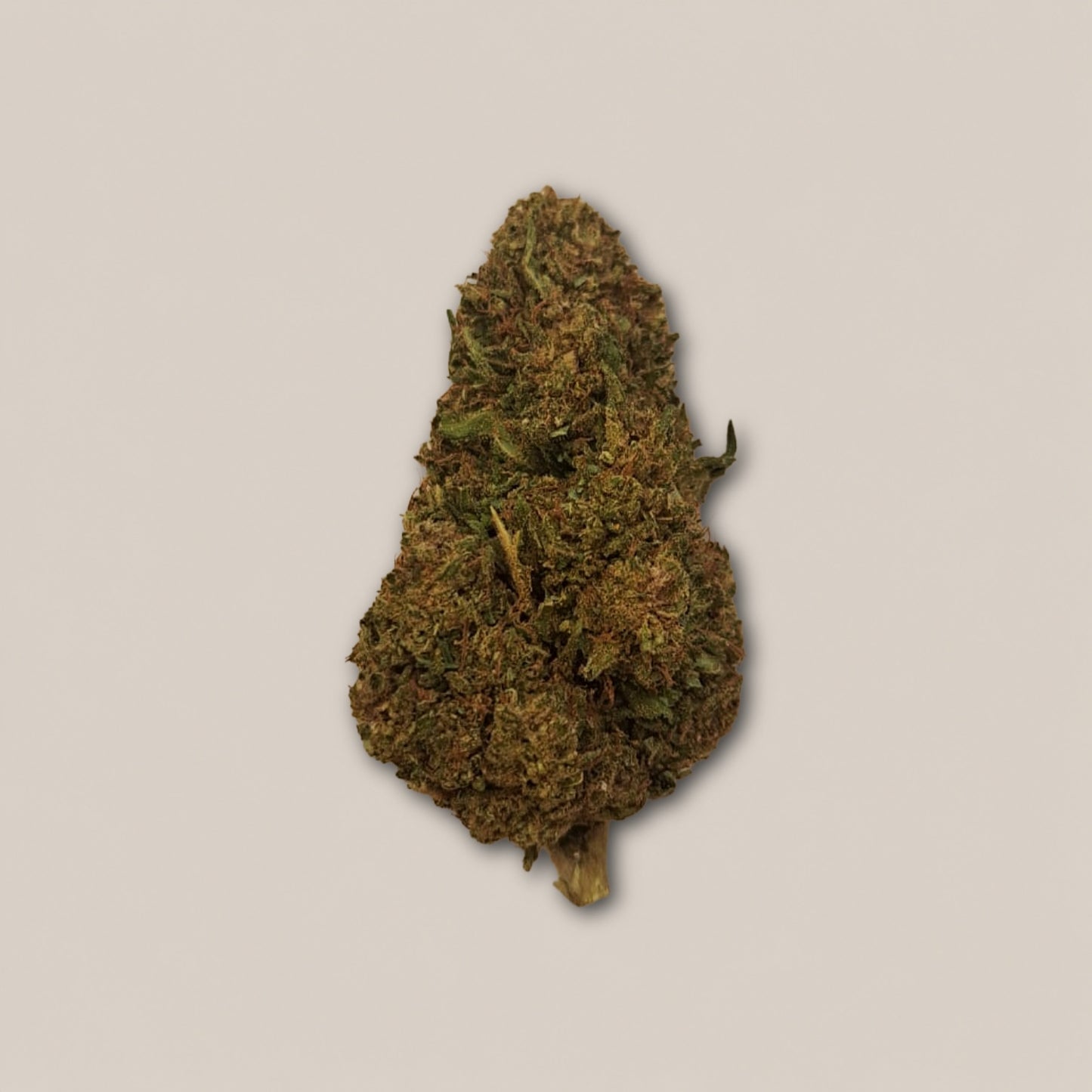 Super Skunk - Classique greenhouse - Salvia la pépite verte