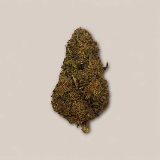 Super Skunk - Classique greenhouse - Salvia la pépite verte