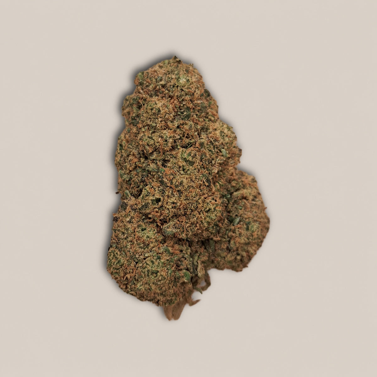 Sweet Cream - Premium - Salvia la pépite verte