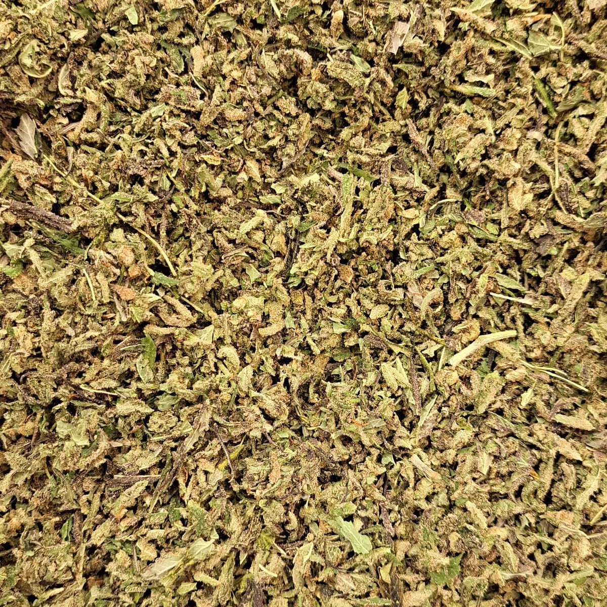 Trim CBD - Indoor - Salvia la pépite verte