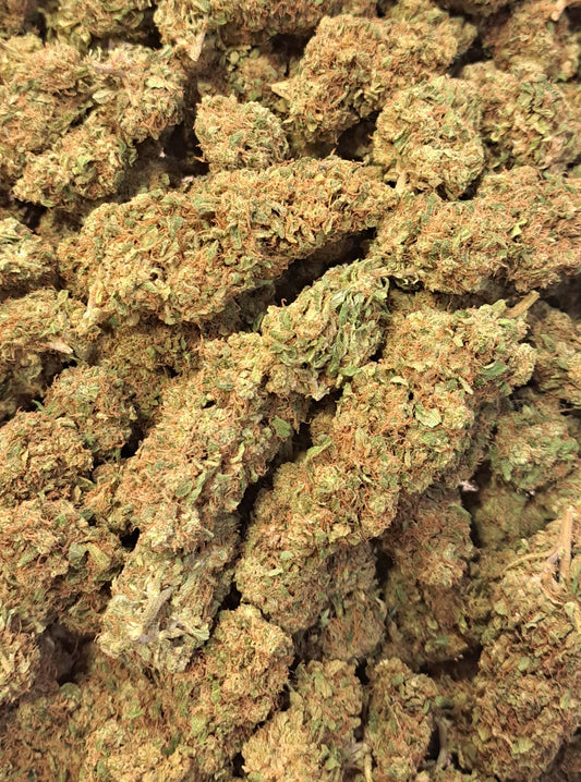 Turbo Diesel - Premium - Salvia la pepite verte