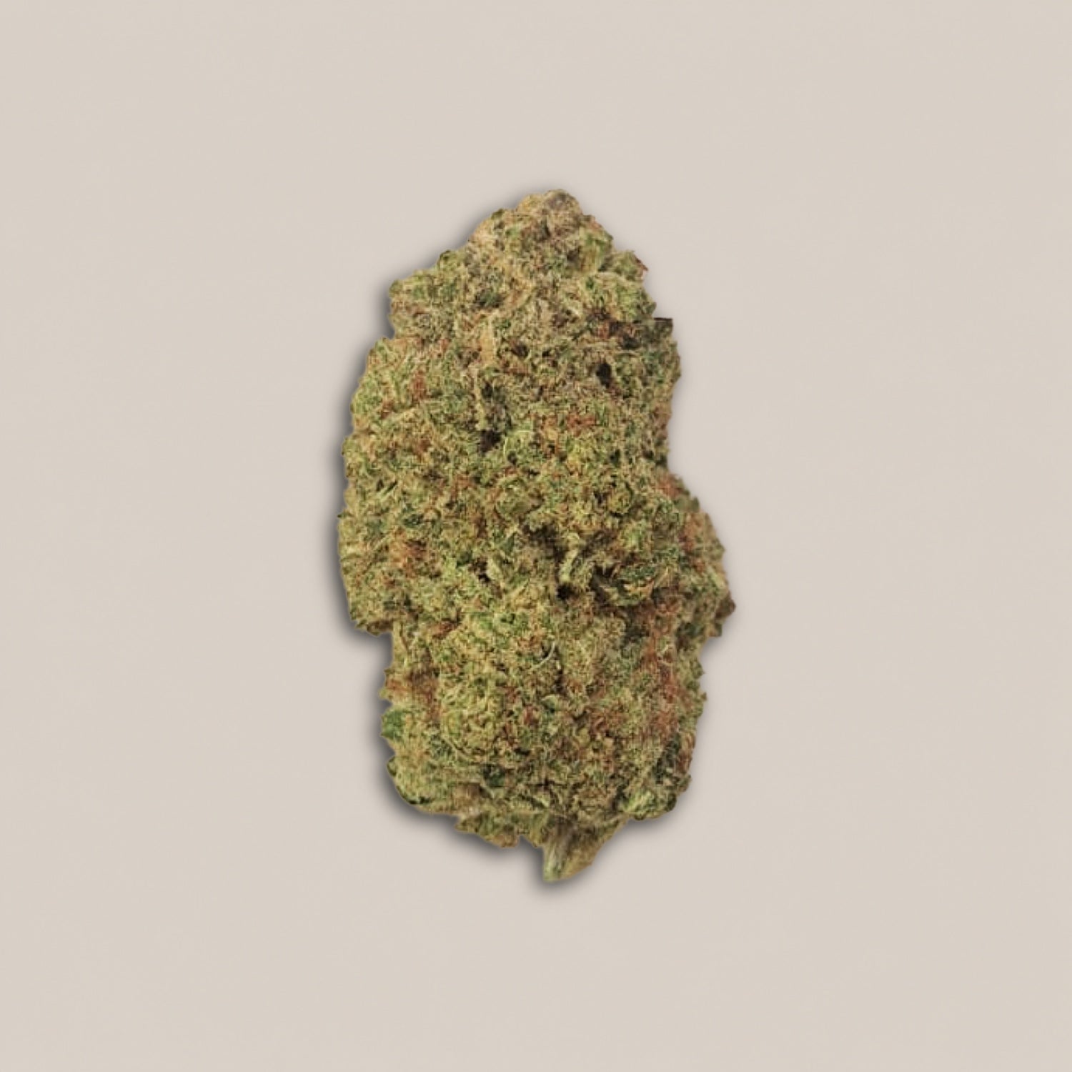 Velvet Cheese - Premium - Salvia la pépite verte
