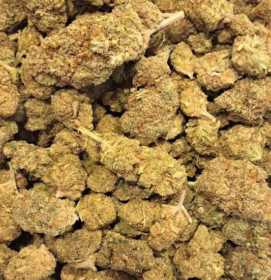 White Fire OG - Premium - Salvia la pepite verte