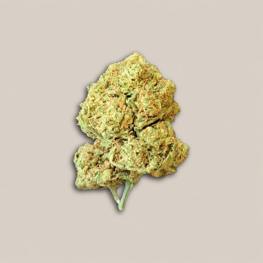 White Widow - Premium - Salvia la pépite verte