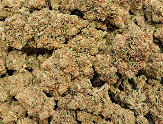 White Widow - Premium - Salvia la pépite verte