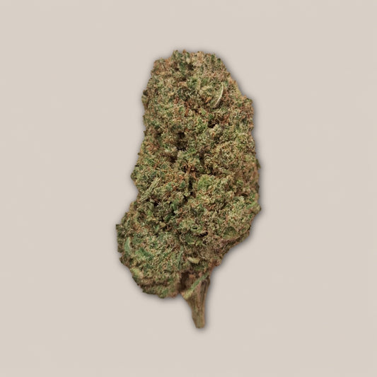 Zoap - Premium - Salvia la pépite verte